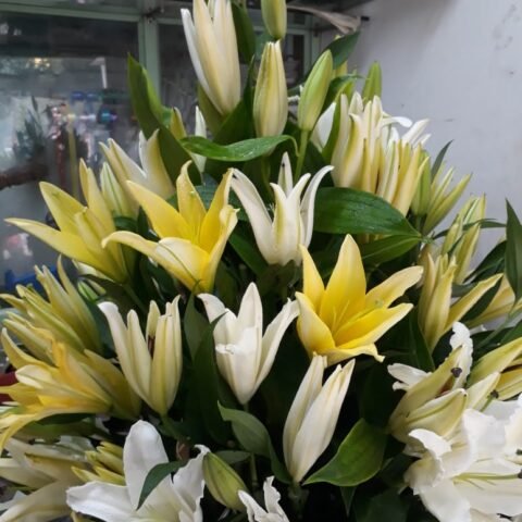 Flower name