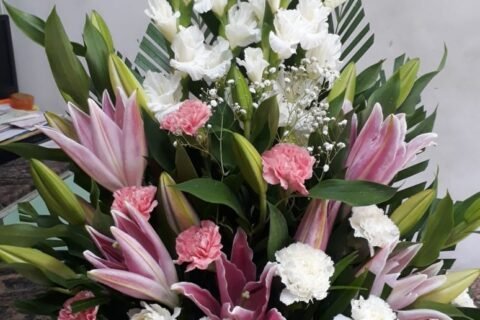 IMG-20260908-WA0040