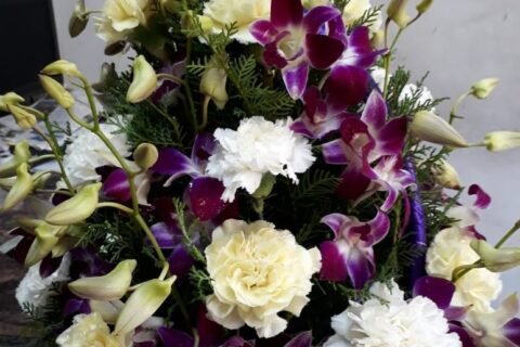 IMG-20260908-WA0041